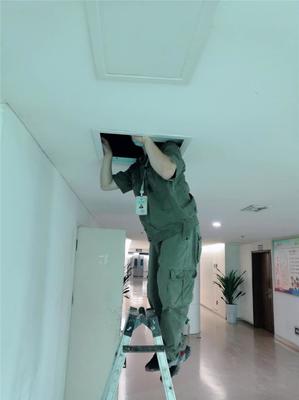 專業滅鼠，守護健康——廣漢工廠滅鼠服務咨詢與信息指南